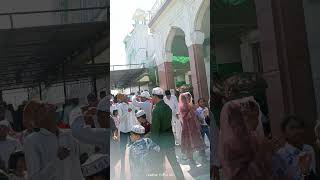 Taragarh hazrat Mira sayyad Hussain naat [upl. by Roper]