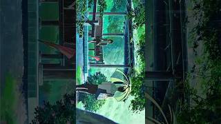 The beauty of the garden words ❤️  4K anime edit  animeedit anime amv animeedits [upl. by Glennon]