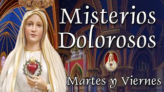 Misterios Dolorosos del Rosario Martes y Viernes [upl. by Eelyah]