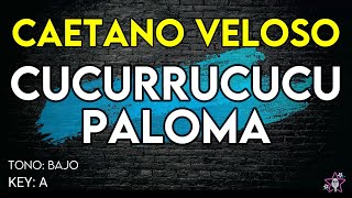 Caetano Veloso  Cucurrucucu Paloma  Karaoke Instrumental  Tono Bajo [upl. by Amaris]