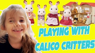 Playing with Calico Critters [upl. by Bergess]