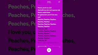 Peaches lyrics Jack Black [upl. by Ryter]