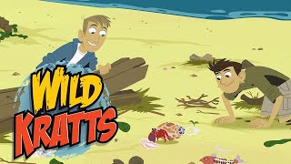 Wild Kratts  Natures Wonders  Kids Videos [upl. by Natfa]