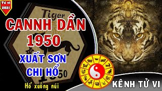 VUI XUAN CANH DAN voi cac THUONG BINH VNCH 02flv [upl. by Cati]