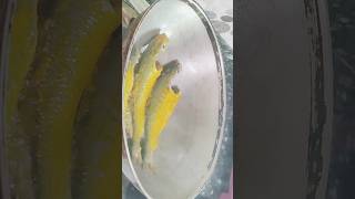 Ilish Maach Bhaja recipe baby hilsa fish fryshorts food shortvideo  homemadeyoutubeshorts [upl. by Rosanna]