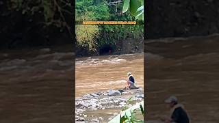 pahami sekitar lokasi pemancingan‼️ sebelum mancing di pinggiran sungaingeri lihat spot nya shorts [upl. by Aytac]