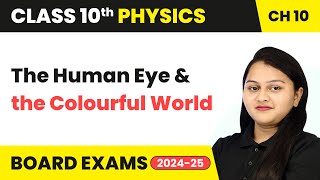 The Human Eye  The Human Eye and the Colourful World  Class 10 Physics Chapter 10  CBSE 202425 [upl. by Nosde45]