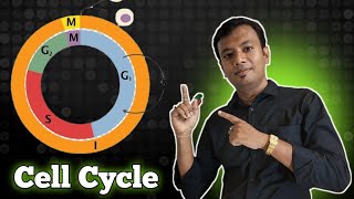 Cell Cycle and Cell division Class 11 NEET [upl. by Edgell]