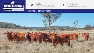 Kinlea  1128 Scrub Road Tenterfield NSW 2372 [upl. by Fredie878]