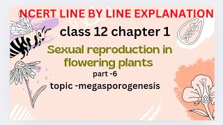 megasporogenesis  Sexual reproduction in flowering plants NCERT line by line explanation [upl. by Colbert990]