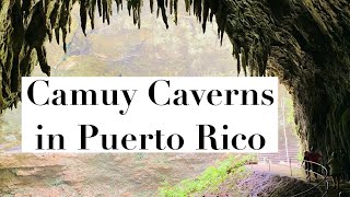 Cavernas de Camuy Puerto Rico  Trips with kids [upl. by Sedrul371]