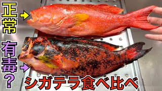 食べて検証！「シガテラ毒入り」の証が出た魚を骨の髄まで食べるとどうなる？ [upl. by Red]