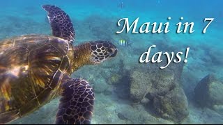 7 days in Maui  Road to Hana Haleakala Crater Whales Scuba and More [upl. by Laaspere]