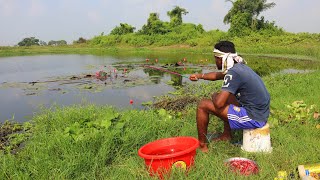 Fishing Video🐠  The village boy catching a giant fish using the right food  Amazing hook fishing [upl. by Aliehs]