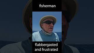 fisherman flabbergasted and frustrated as sharks take his catch fishing [upl. by Kelby]