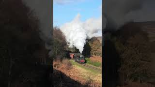 Single Chimney 9F in Autumn Colours on the NYMR trainspotting railway steamtrain [upl. by Codee]