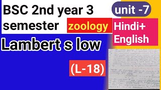 BSC 2nd year 3rd semester zoology topics Lambert s low [upl. by Fiester]