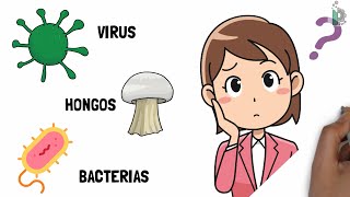 Diferencias entre virus ☣ bacterias 🦠y hongos 🍄 Video animado y con ejemplos [upl. by Thedric385]