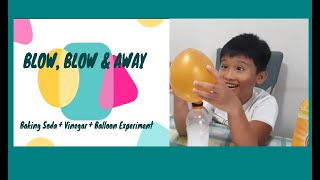 Baking Soda  Vinegar  Balloon  Science Experiment  Blow Blow amp Away [upl. by Tildi]