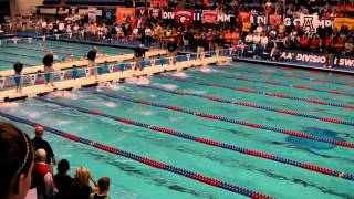 NCAA 2013 200 IM [upl. by Catton]