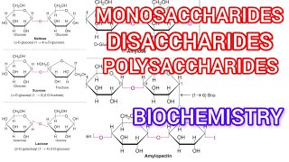 Monosaccharide disaccharide polysaccharide isomer ❤️ [upl. by Rask]