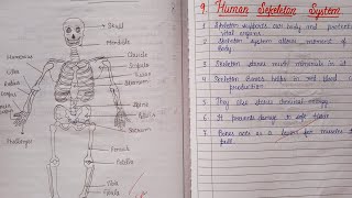 Anatomy and physiology practical file bsc nursing 1st year Gnm body organ diagram nursingsecrets [upl. by Aillicec]