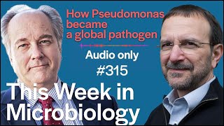 TWiM 315 How Pseudomonas became a global pathogen [upl. by Timus]