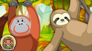 Learn About Endangered Animals  Animal Songs For Kids  KLT WILD [upl. by Daniels924]