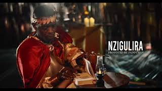 Jose Chameleone  NZIGULIRA Official Video [upl. by Lerret182]