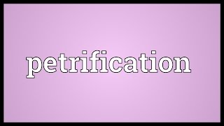 Petrification Meaning [upl. by Sikram]