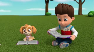 PAW Patrol Enjoying Their Favorite Books [upl. by Evars]