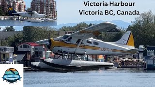 Beaver Aborts Landing amp Lands Safely Amidst Otters amp Twin Arrivals amp Beaver Take OffVictoria BC [upl. by Pigeon]