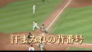 何かがおかしい野球場へ行こうプロ野球 珍プレー [upl. by Ecyle]