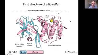 Lipin Phosphatidic Acid Phosphatases  Aug 10th 2020 [upl. by Heppman]