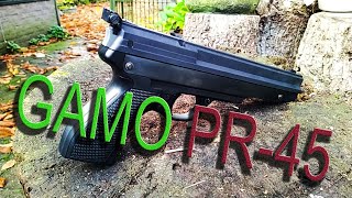 GAMO PR45 Air Pistol [upl. by Llehsar417]