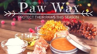 DIY Paw Wax [upl. by Lanod]