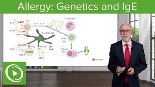 Allergy Genetics and IgE – Immunology  Lecturio [upl. by Morril983]