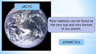 About Polar Habitats  Kids Science amp Animals  HandsOn Education [upl. by Atekan466]