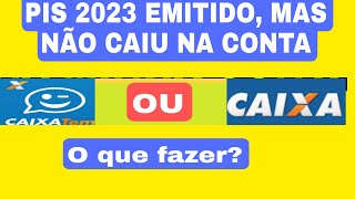 PIS 2023 NÃO CAIU NA CONTA DA CAIXA O que fazer [upl. by Helbon]