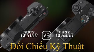 Sony A5100 và Sony A6000 Một Đối Chiếu Về Thông Số Kỹ Thuật [upl. by Ahsied]