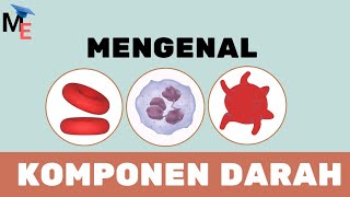 Animasi Komponen Darah  Eritrosit Leukosit amp Trombosit  Biologi [upl. by Malilliw196]