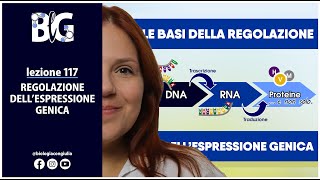 REGOLAZIONE DELLESPRESSIONE GENICA  LE BASI [upl. by Ignatia]