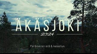 Äkäsjoki 2024  harjuksen perhokalastusta [upl. by Tacye]