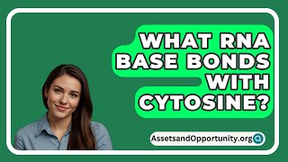 What Rna Base Bonds With Cytosine  AssetsandOpportunityorg [upl. by Sewel]