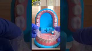 Dentist Teeth ASMR  Melissa and Doug Super Smile Kit shortsvideo shorts asmrdentist dentist [upl. by Ely811]