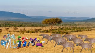 Wario amp Friends Dies By Enraged Sounder Of Celebochoerus Heekereni In The Grasslands [upl. by Hoffer395]