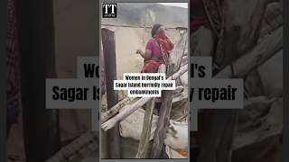 Cyclone Dana Women Repair Embankments on Sagar Island After Landfall cyclonedana [upl. by Atiuqel]