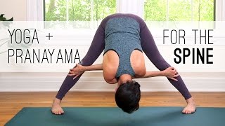 Yoga  Pranayama for the Spine  Yoga With Adriene [upl. by Storz]