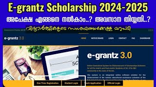 Egrantz Scholarship 20242025  Application Updates  How to Apply Egrantz  Kerala [upl. by Aicilaana5]