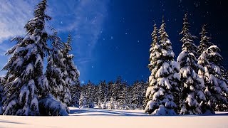 Christmas music Christmas instrumental Music quotLet It Snowquot by Tim Janis [upl. by Edrick]